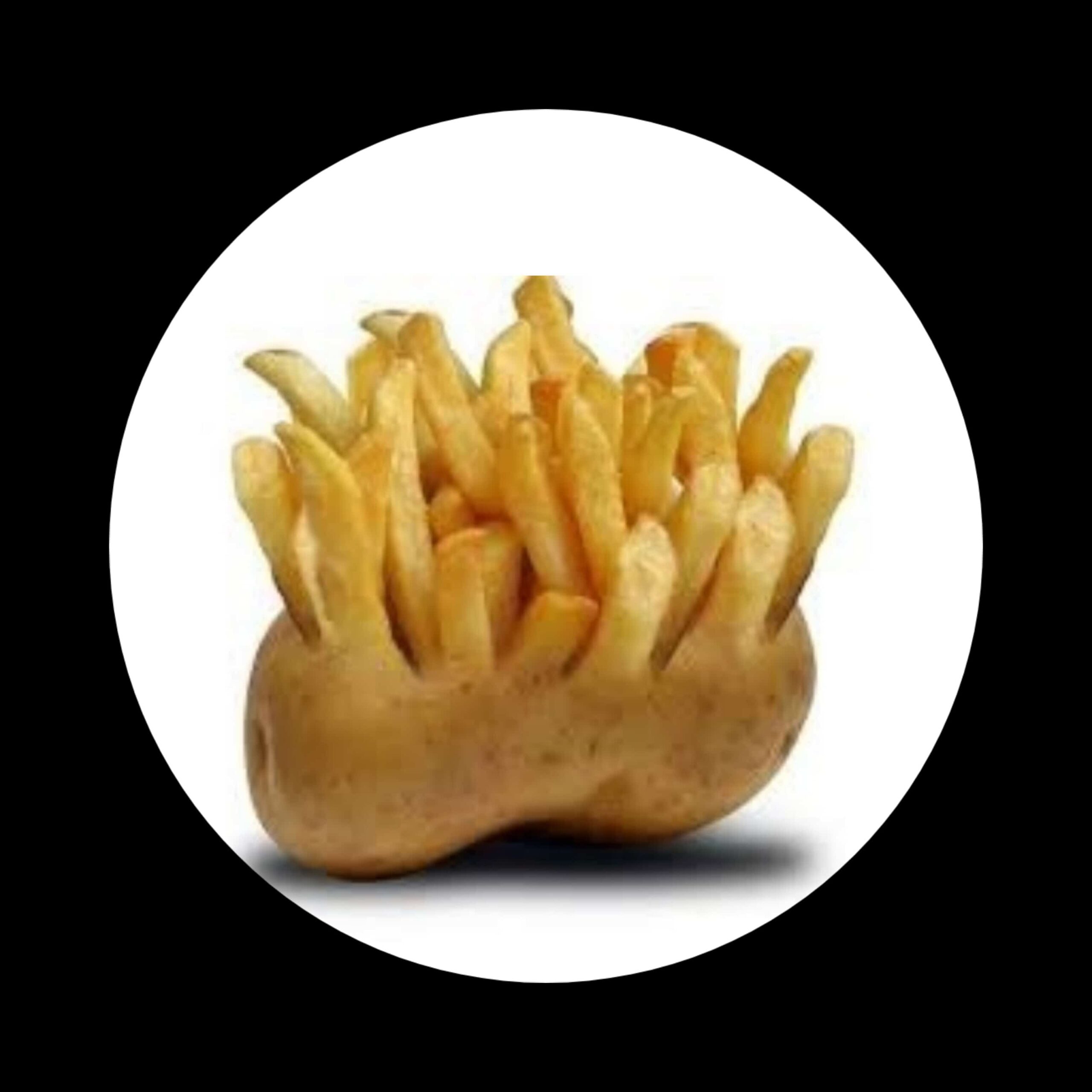 InShot_20230816_180857165